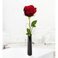 Single Rose