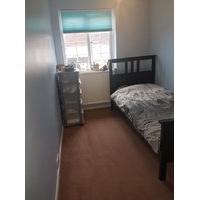 single furnished room in tilehurst reading