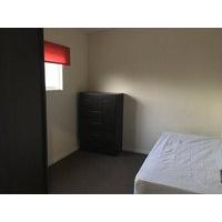 Single Room - Luton Towm Centre