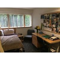 single room for rent in flat during month of august