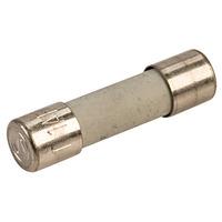 Siba 70-007-65/1A 1A 20x5mm Antisurge Ceramic Fuse