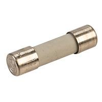 Siba 70-007-65/2A 2A 20x5mm Antisurge Ceramic Fuse