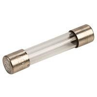 Siba 70-059-61/16A 16A 32x6.3mm Slowblow Glass Fuse