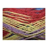 Sirdar Montana Knitting Yarn DK 203 Rodeo