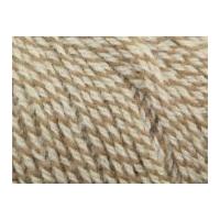 Sirdar Click Knitting Yarn DK 202 Fossil