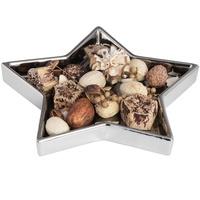 Silver Ceramic Medium Size Star Dish