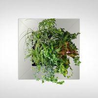 Silver Living Picture (L)78cm (W)78cm