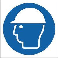 sign safety helmet pictorial 100 x 100 aluminium