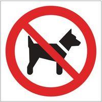 sign no dogs pictorial 100 x 100 polycarb