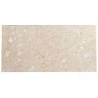 Single Piece Natural Travertine Wall Tile (L)610mm (W)305mm