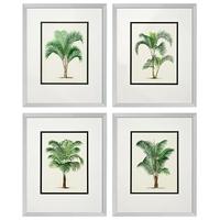 Silver Colour Frame Prints Palms (Set of 4)