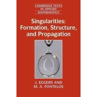 Singularities: Formation, Structure, and Propagation (Cambridge Texts in Applied Mathematics)