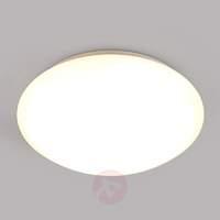 Simple LED bathroom ceiling lamp Selveta, 30 cm