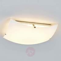 Simple glass ceiling light Malia with LEDs