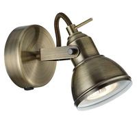 Single Antique Brass Spot Light