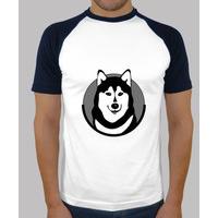 siberian husky