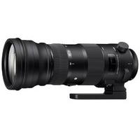 Sigma 150-600mm F5-6.3 DG OS HSM | C Lens for Nikon