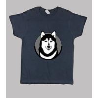 siberian husky
