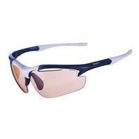 Sinner Sunglasses Raptor (Box) SISU-545 50-C01B