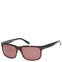 Sinclair Sunglasses - Brown