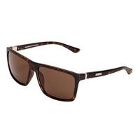 sinner sunglasses fernando sisu 683 polarized 40 p30