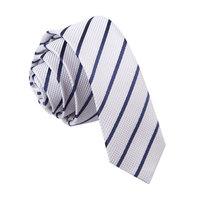 Single Stripe Silver & Navy Skinny Tie