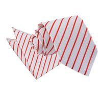Single Stripe White & Red Tie 2 pc. Set