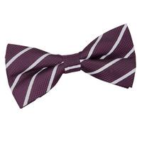 Single Stripe Purple & Silver Pre-Tied Bow Tie
