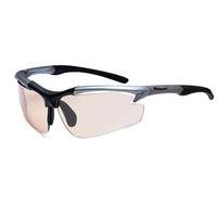 Sinner Sunglasses Raptor (Box) SISU-545 20-C01B