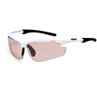 Sinner Sunglasses Raptor (Box) SISU-545 30-C01B