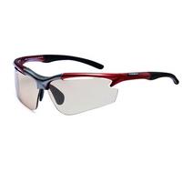 Sinner Sunglasses Raptor (Box) SISU-545 65-C01B