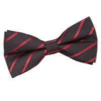 Single Stripe Black & Burgundy Pre-Tied Bow Tie