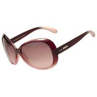 Sinner Sunglasses Brasil SISU-668 70-05