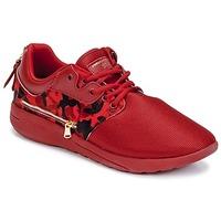Sixth June DNR RED CAMO men\'s Shoes (Trainers) in red