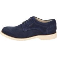 Sioux Dimitar blue