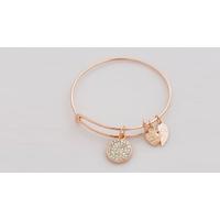 Silver or Rose Gold Plated \'Live The Dream\' Charm Bangle