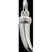 Silver Claw Charm