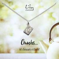silver custard cream necklace with crumbs message