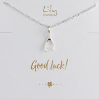 silver wishbone necklace with good luck message