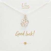 Silver Four Leaf Clover Necklace with \'Good Luck\' Message