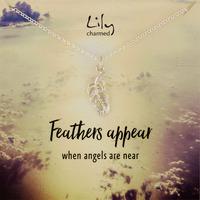 Silver Feather Necklace with \'Feathers Appear\' Message