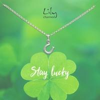 silver lucky horseshoe necklace with stay lucky message