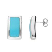 Silver Turquoise Oblong Stud Earrings