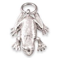 Silver Frog Charm 1014