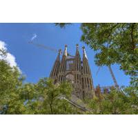 Skip the Line: Barcelona Sagrada Familia Tour Including Tower Entry