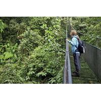Sky Walk Tour with Hanging Bridges and Nature Preserve