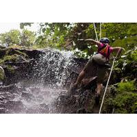 Sky Adventures Arenal Park Tour Including Ziplines, Canyoning and Rappelling