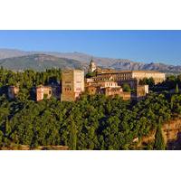 Skip the Line: Alhambra Walking Tour and Private Sightseeing Flight