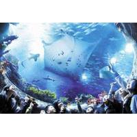 skip the line ocean park hong kong admission