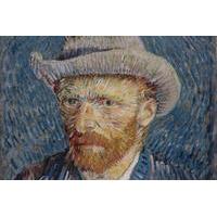 skip the line early access to van gogh museum with amsterdam hop on ho ...
